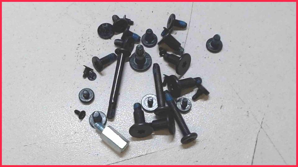 Original screws set Diverse Apple iMac 21" A1418