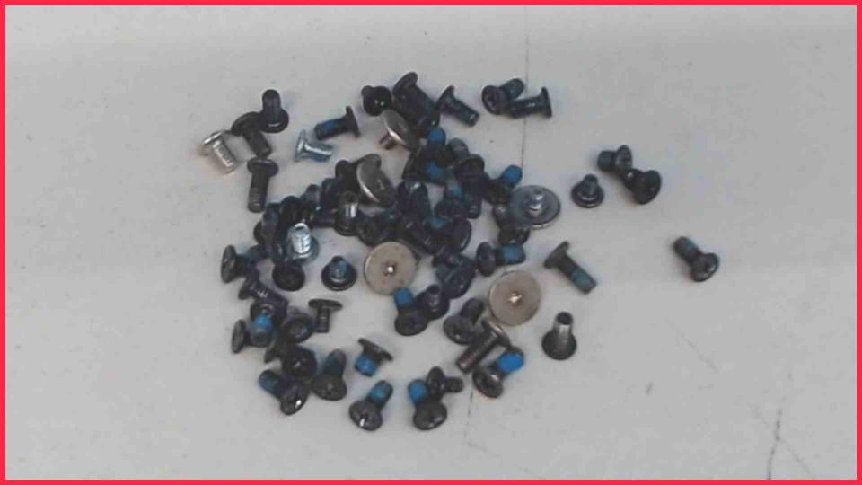 Original screws set Diverse Dell Inspiron 1564