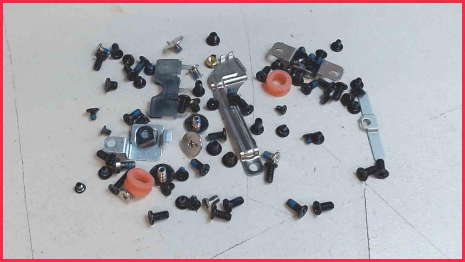 Original screws set Diverse Precision 7520 P53F -2