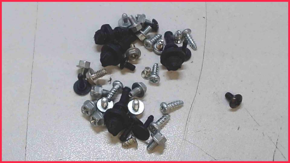Original screws set Diverse Fujitsu Esprimo E5731