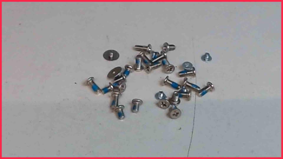 Original screws set Diverse HP Chrome 14-q030sg