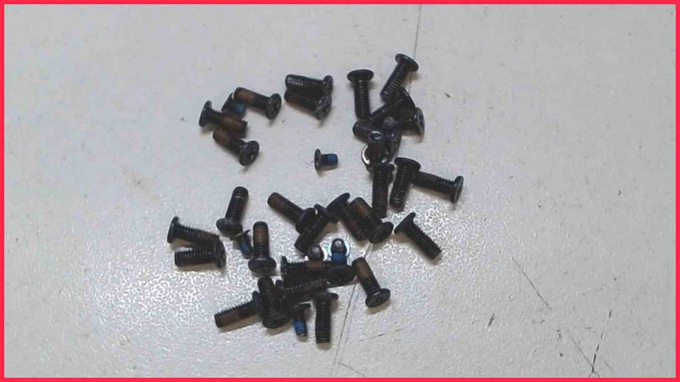 Original screws set Diverse HP Pavilion 17-E147EG