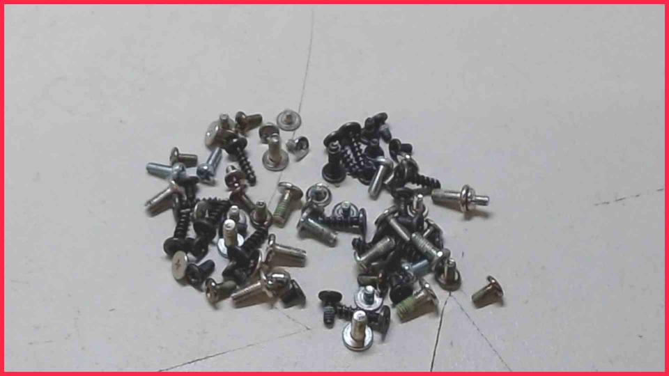 Original screws set Diverse Lifebook E8110 WL2 -2