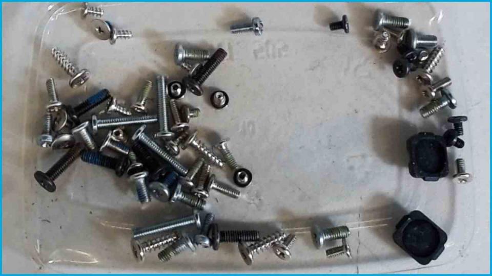 Original screws set Diverse Lifebook E8410