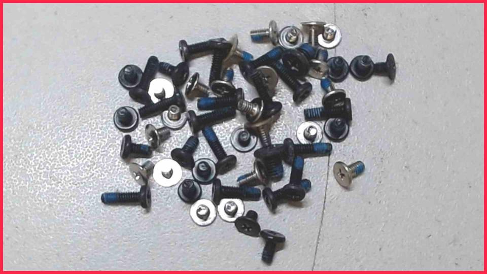 Original screws set Diverse NP-X460-AS03DE
