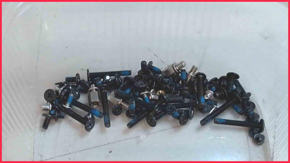 Original screws set Diverse Satellite S2430-201