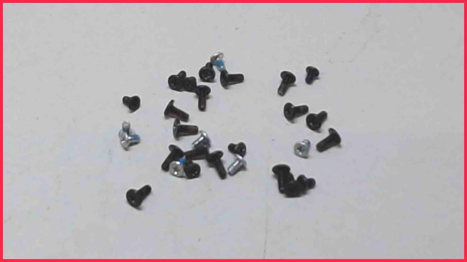 Original screws set Diverse ThinkPad X201 3323-1LG