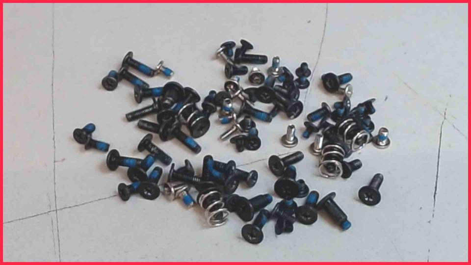 Original screws set Diverse Toshiba L500-1VW