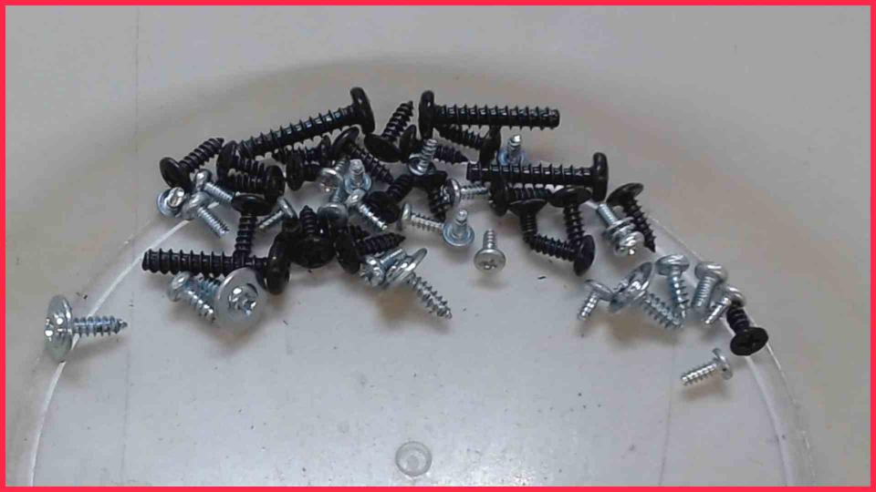 Original screws set  Dyon ENTER 32 Pro