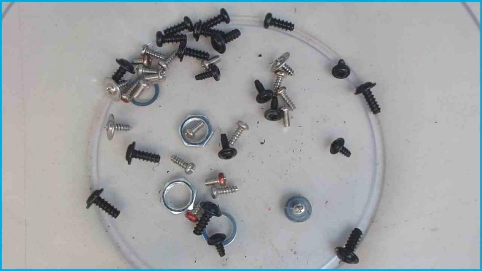Original screws set Dyon Gamma 24 LCD