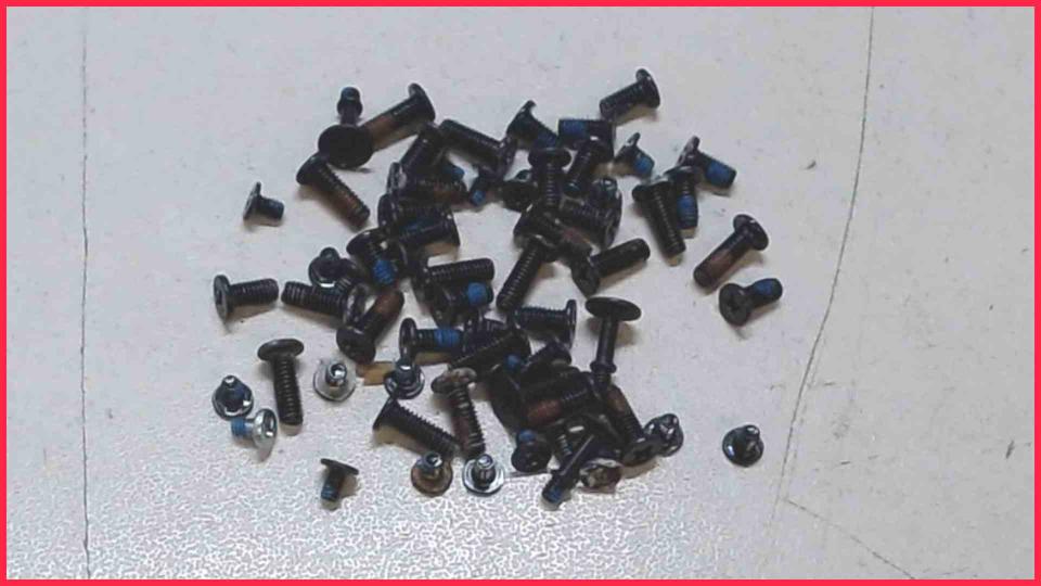 Original screws set  EasyNote LE11BZ EG70BZ
