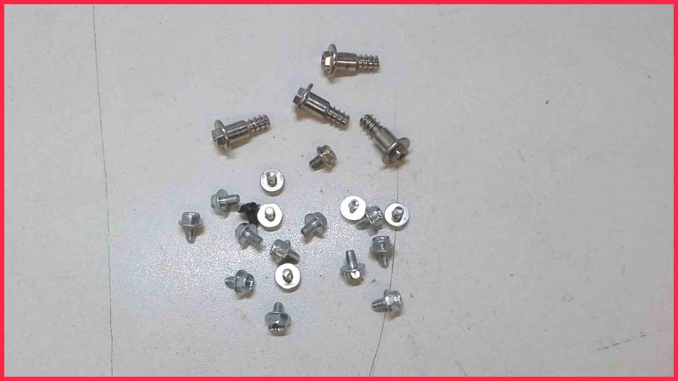 Original screws set  Esprimo P720 e85+