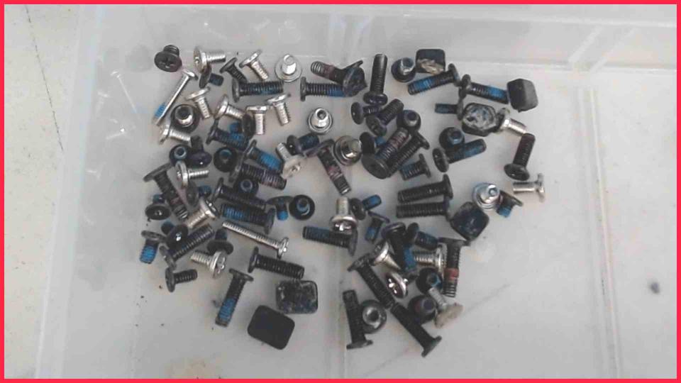 Original screws set Fujitsu Celsius H270