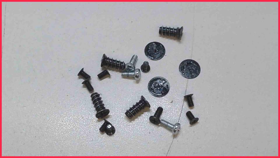Original screws set  Fujitsu Esprimo Q920