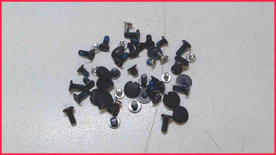 Original screws set  HP EliteBook 8440p