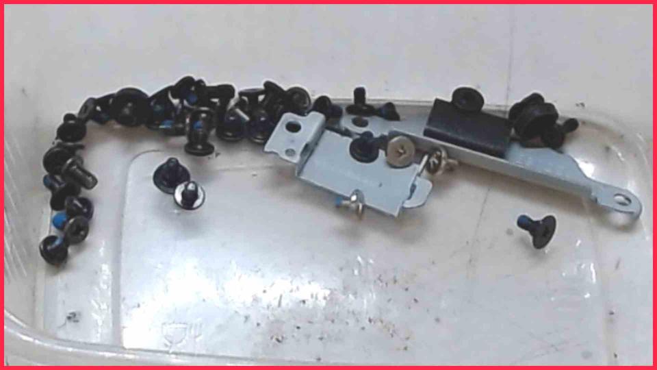 Original screws set  Lenovo ThinkPad T450s