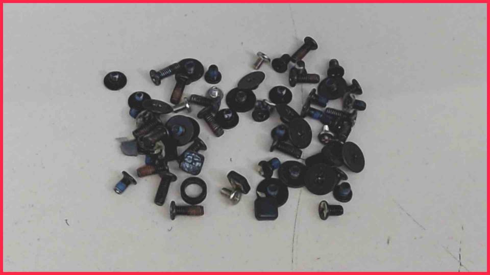 Original screws set Lenovo ideapad Y560 0646