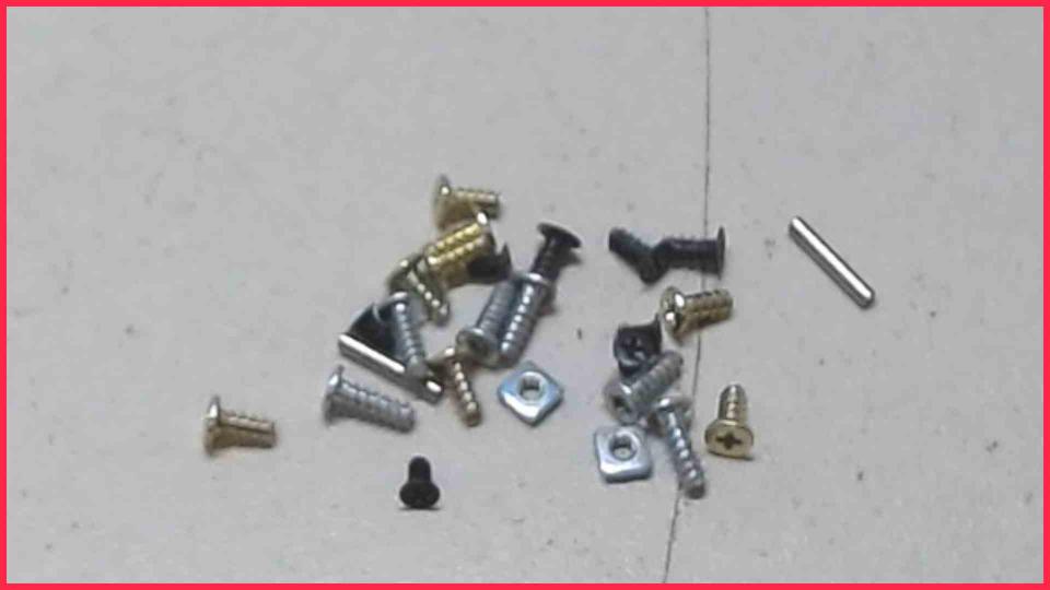 Original screws set  Nintendo DSi TWL-S-ZBA-EUU