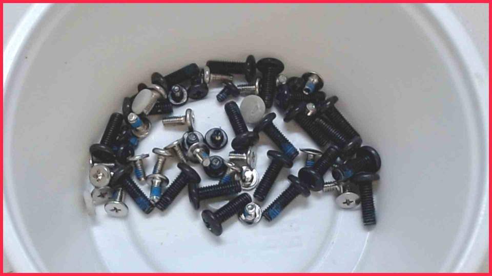 Original screws set  Samsung RV720 NP-RV720 -2