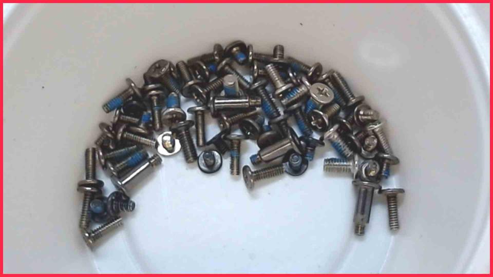 Original screws set  Satellite C870D-105