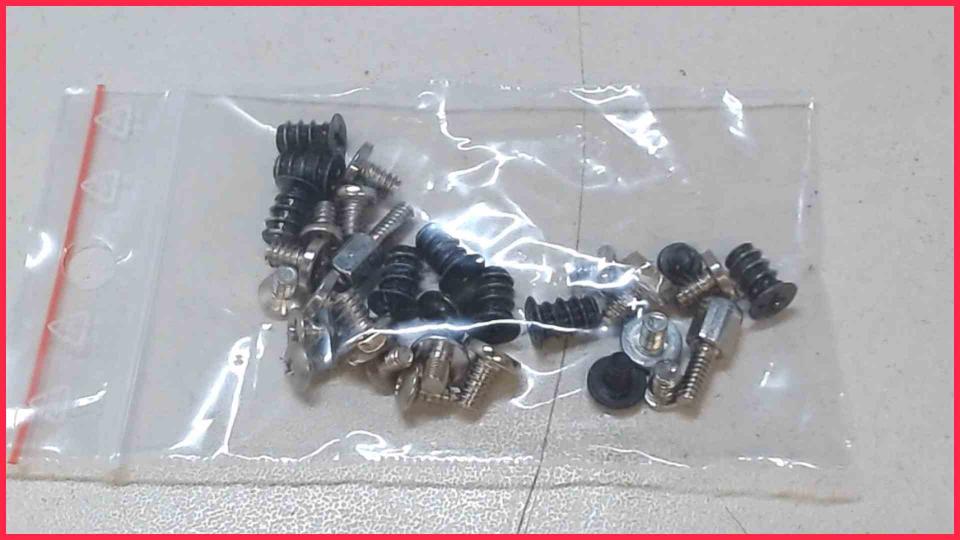 Original screws set  Shuttle XH110V