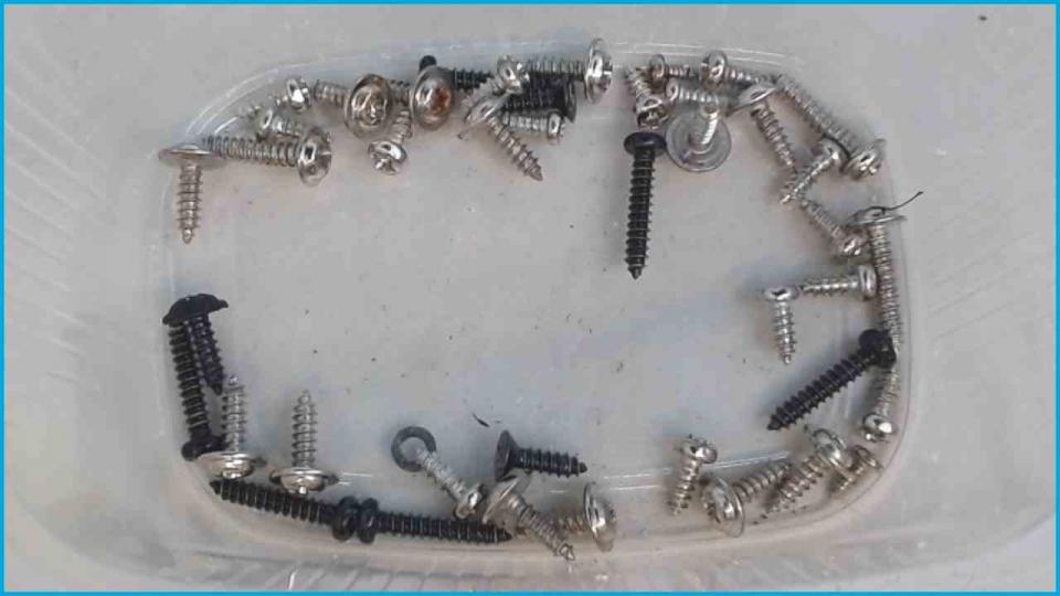 Original screws set Tevion IWR221