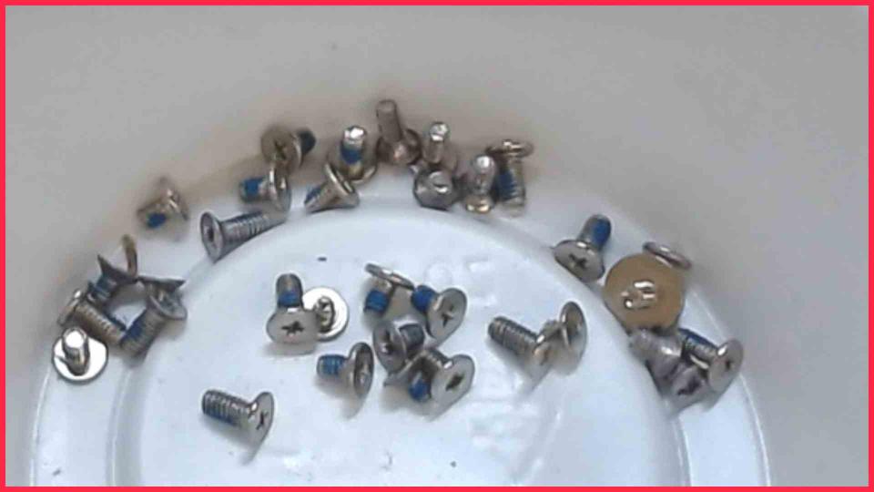 Original screws set  TrekStor Primebook C13