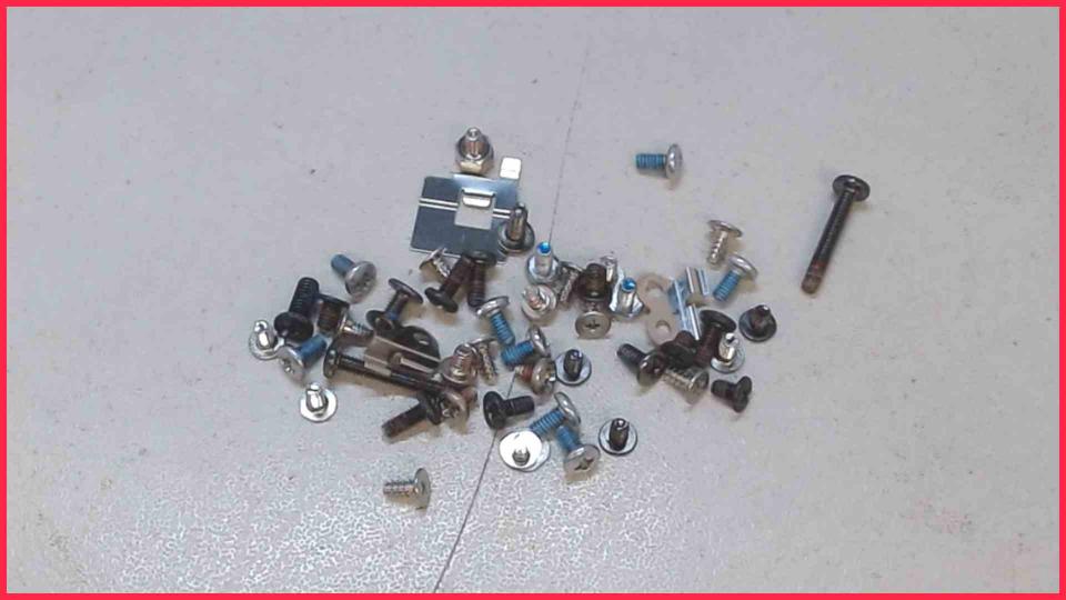 Original screws set  Vaio PCG-6Z2M VGN-Z31VN