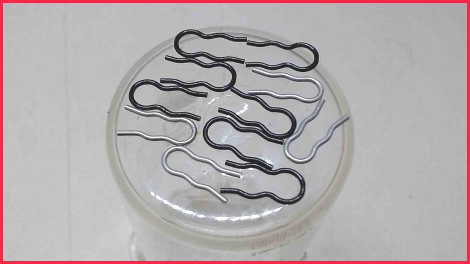 Hose clamp Diverse Globe Coffee B CR 1068