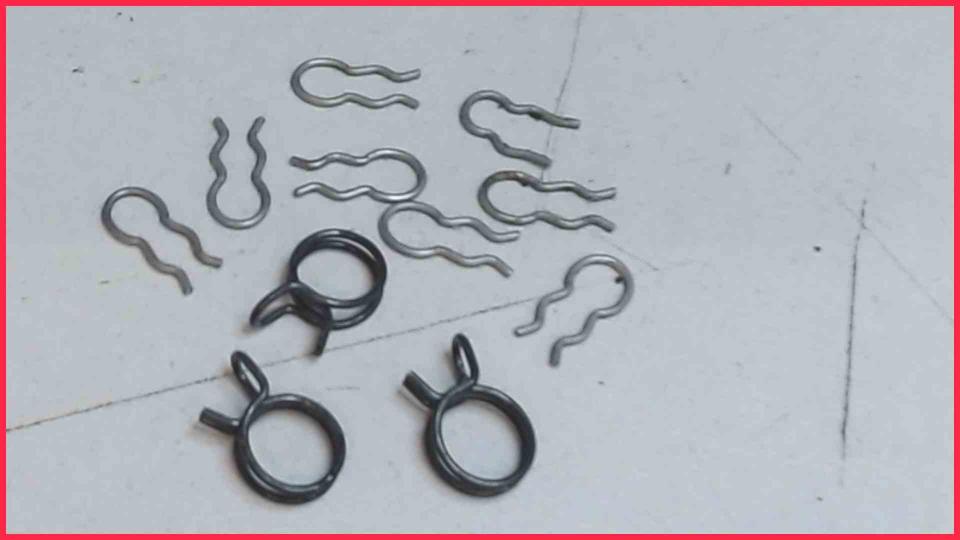 Hose clamp Diverse Royal Professional SUP016