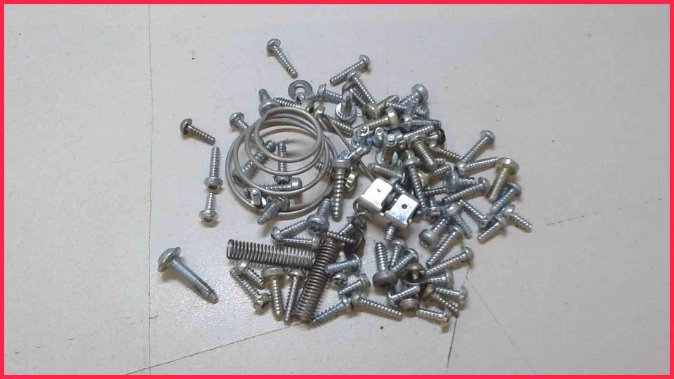 Screw Set Diverse Gaggenau CTES31