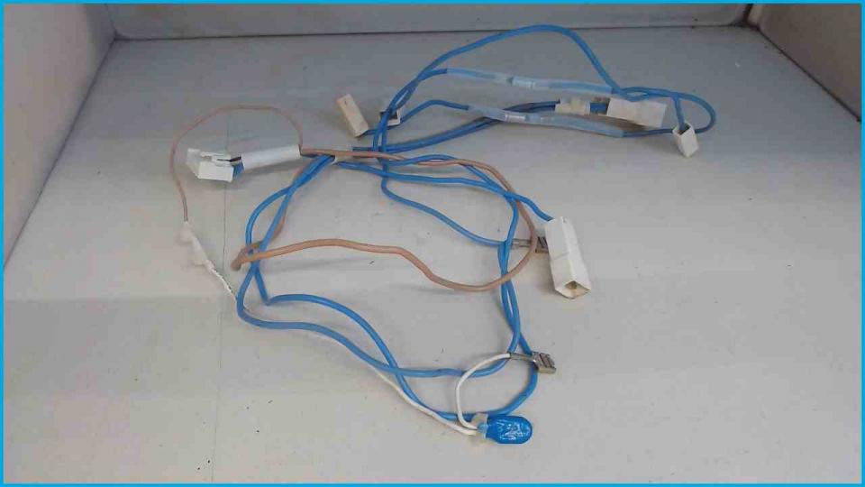 Temperature Sensor Boiler + Pumpe Kabel Blau/Braun WMF 450 Touch Titan