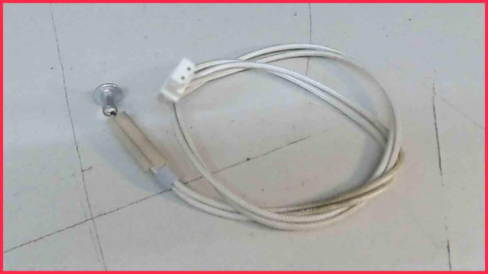 Temperature Sensor Boiler Esperienza EAM3000.B -2