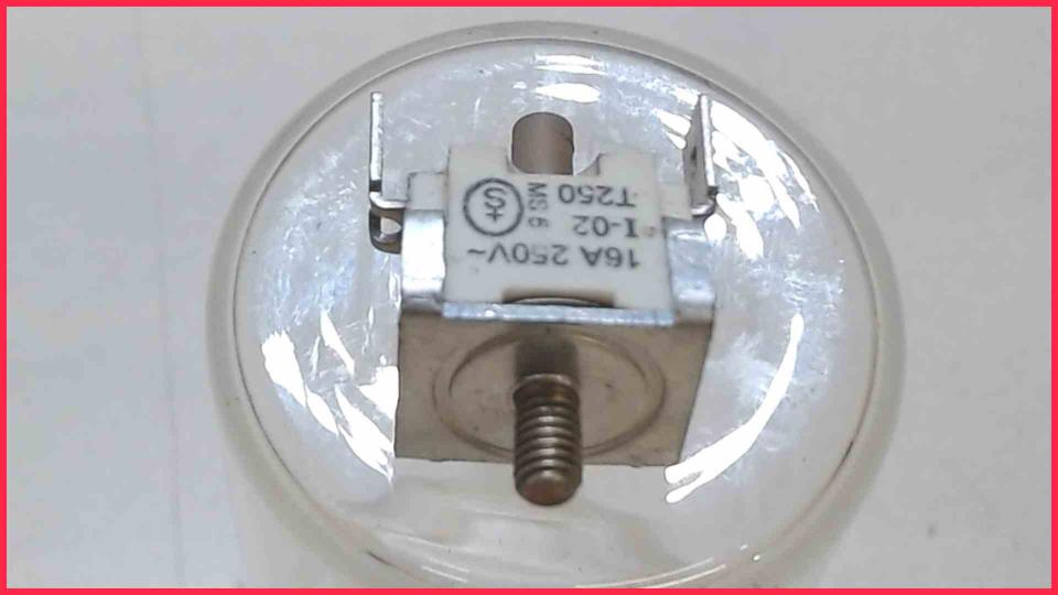 Temperature Sensor Sicherung Boiler 16A 250V Bremer VIVA 880094