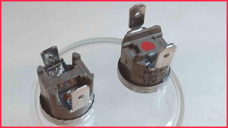 Temperature Sensor Sicherung Boiler 2er Set FiF Espresso BAR-14T