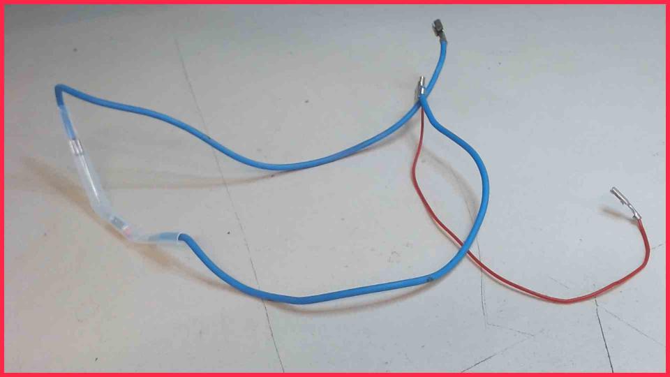 Temperature Sensor Sicherung Boiler Blau/Rot Krups EA829810 -2