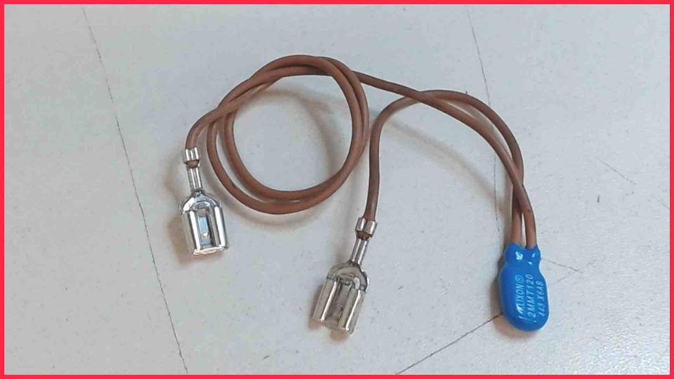 Temperature Sensor Sicherung Pumpe DeLonghi Magnifica ESAM3200.S -4