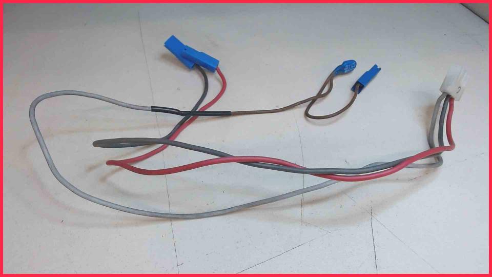 Temperature Sensor Sicherung Pumpe II Royal Professional SUP016