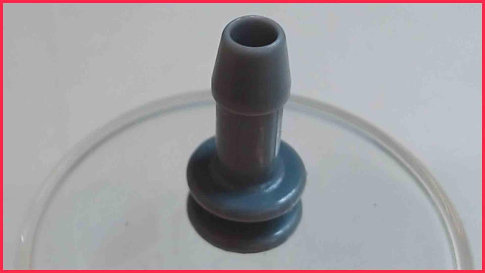 Water Hose Connection Coupling I-Stück EQ.6 plus S100 CTES32X