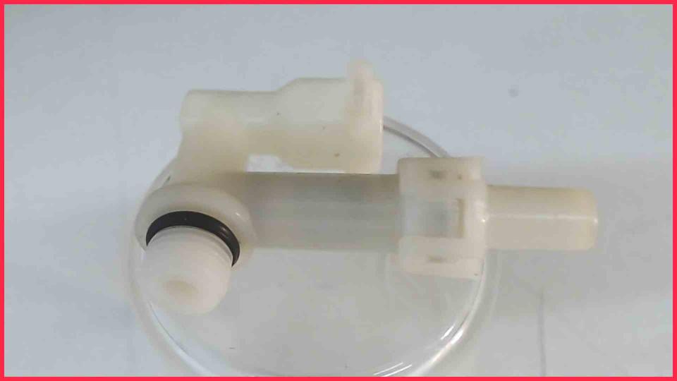 Water Hose Connection Coupling Pumpe Esperienza EAM3000.B -2