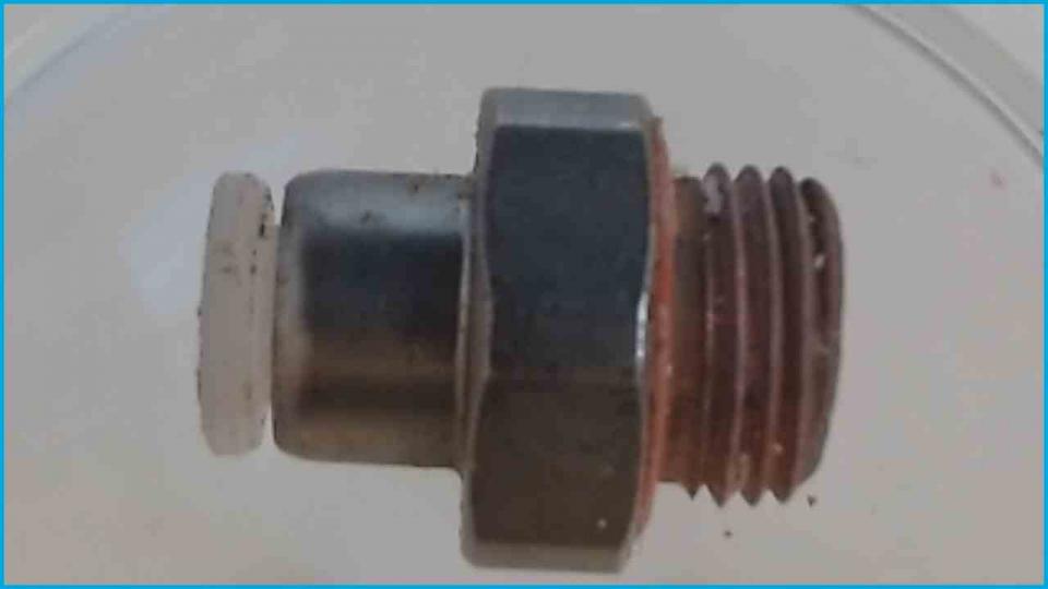 Water Hose Connection Coupling Pumpe WMF 1000