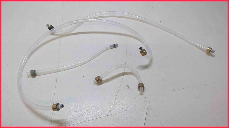 Water Hose Set  AEG CaFamosa CF120 Typ 784