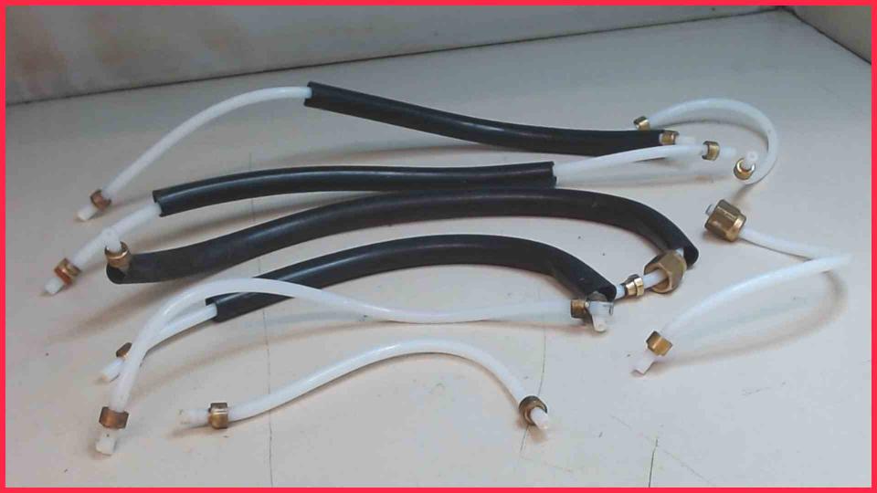 Water Hose Set Diverse Royal Coffee Bar SUP016E R.I