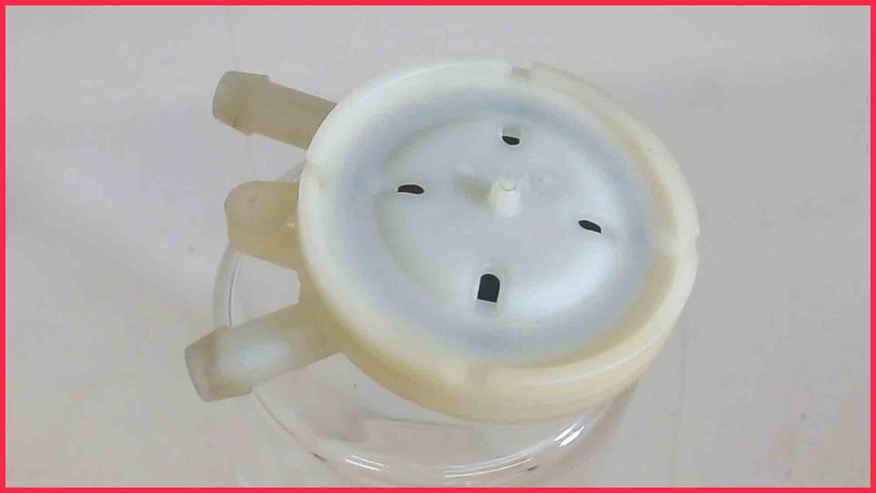 Water Strainer Filter  EQ.8 Series 300 TE803509DE