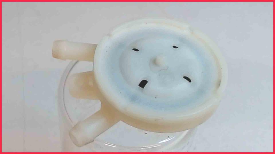 Water Strainer Filter EQ.9 S300 TI903509DE CTES34A