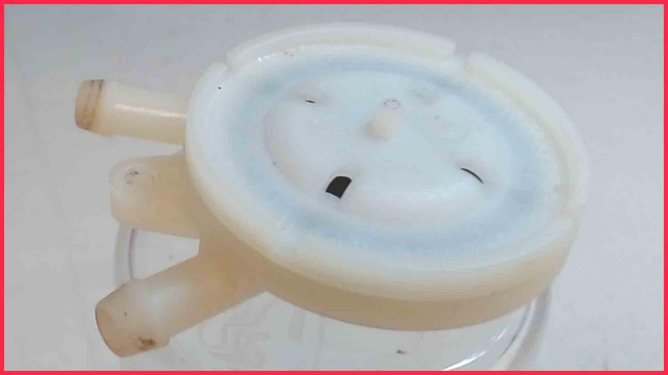 Water Strainer Filter VeroBar 100 AromaPro CTES30