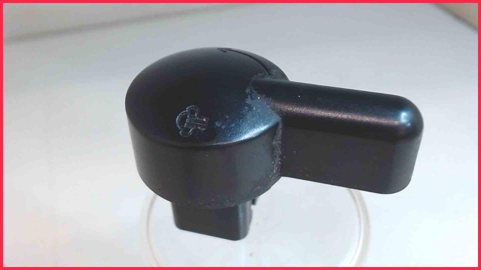 Water Vapour Regulator Knopf Saeco Nespresso D300