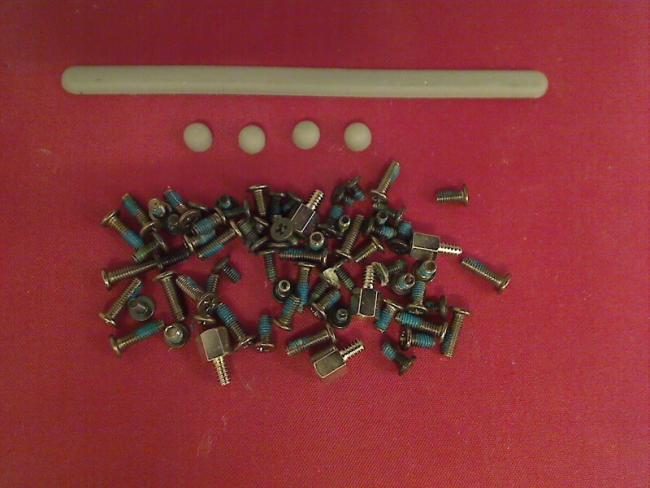 Screws Set Satz with Display Rubber Covers Dell Latitude D510 PP17L
