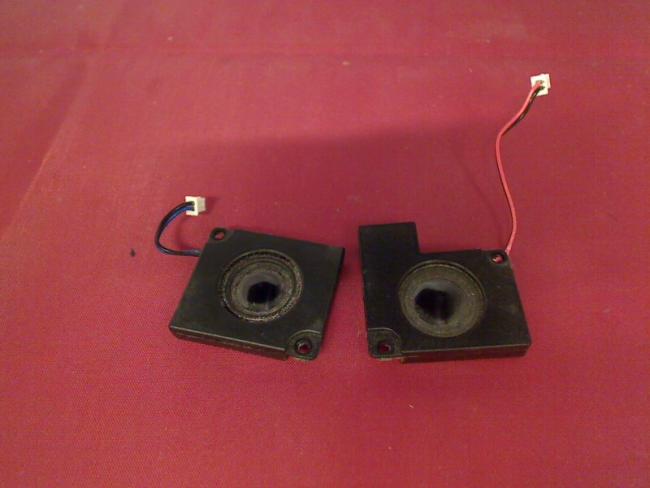 Speaker Boxes R & L Medion MD97470 P7610 (1)