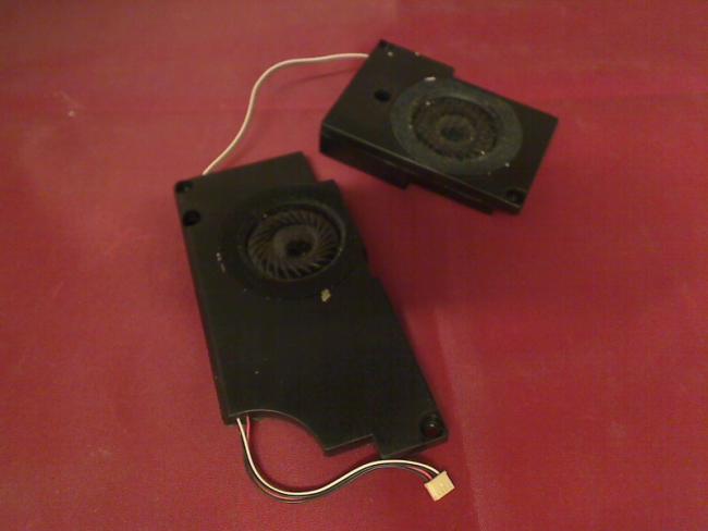 Speaker Boxes R & L Sony PCG-8A3M PCG-GRX315MP